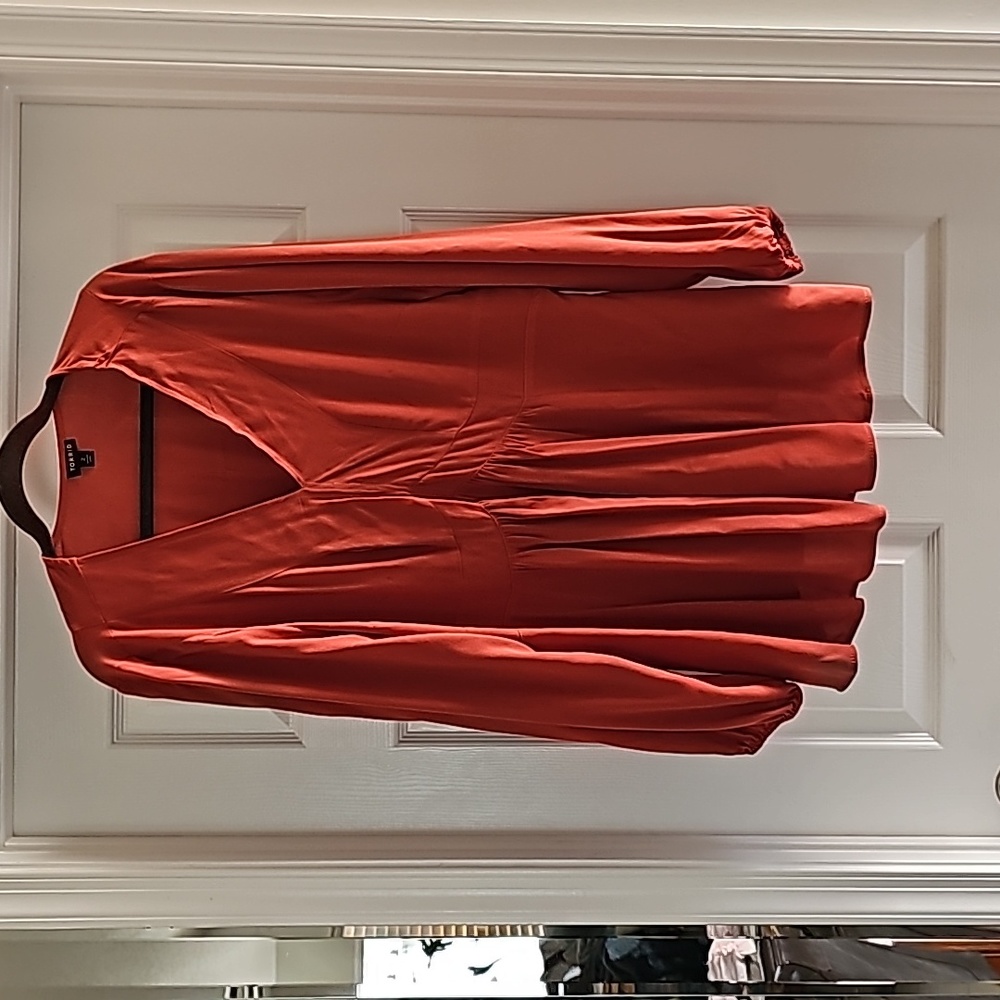 Torrid size 2 long sleeve tunic